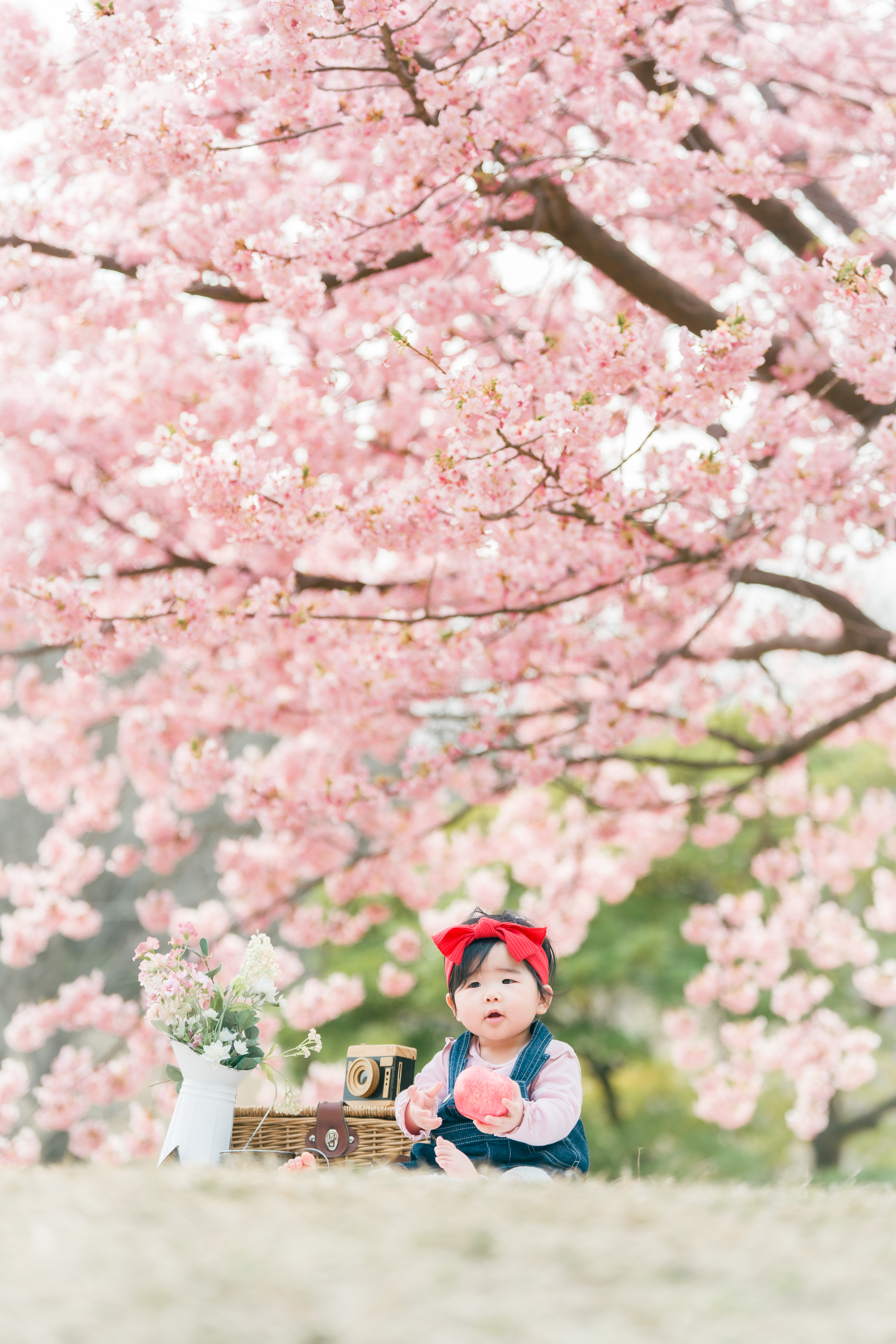 家族・誕生日撮影